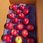 Kashmiri Red Apples 60KG