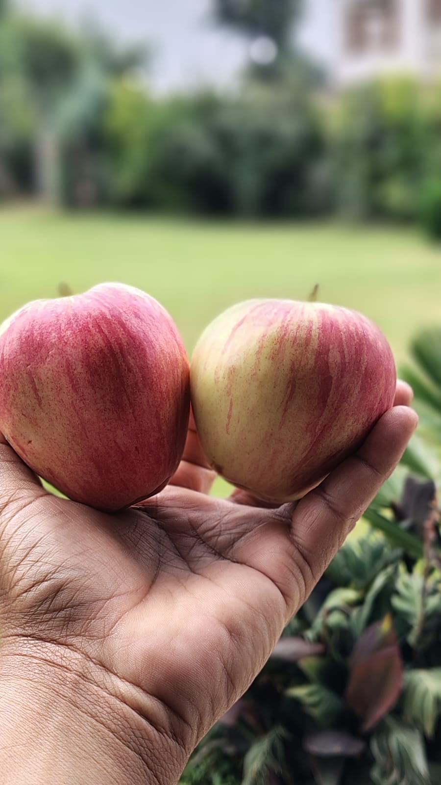 WhatsApp Image 2025-11-06 at 13.58.25_0bc6f4ad