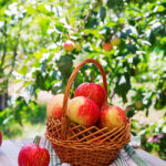 Kashmiri Red Delicious 30KG